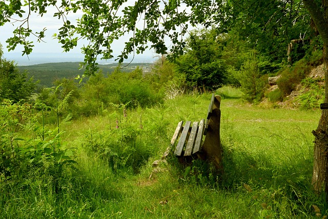 最終證明了 最終證明了