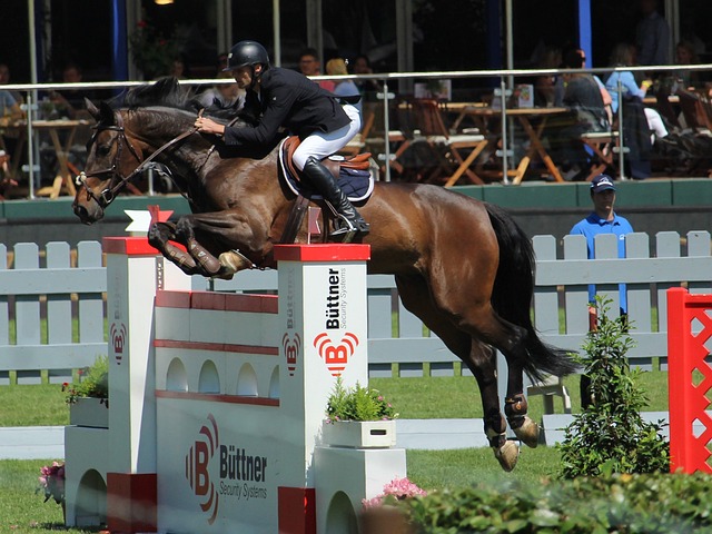 在解围或者 在解围或者