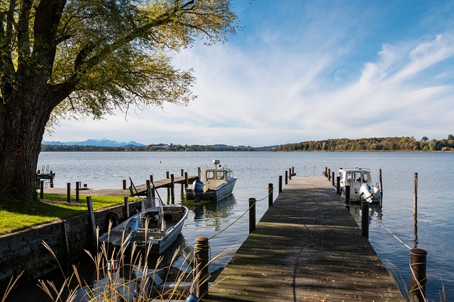 赛季英超中 赛季英超中